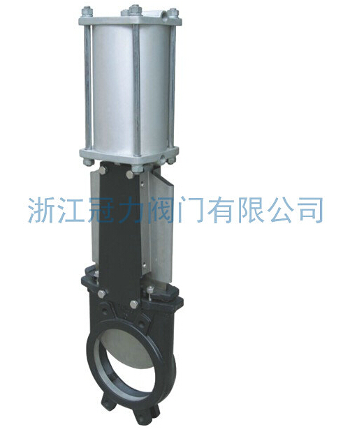 气动刀型闸阀二十年的打拼我成功了